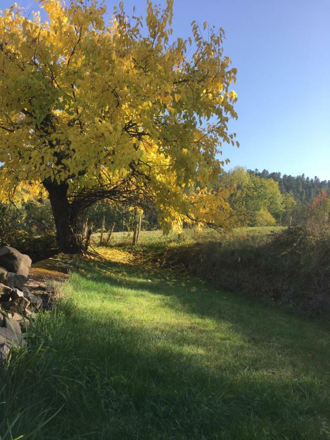 Le Chatel En Beaujolais Valsonne المظهر الخارجي الصورة