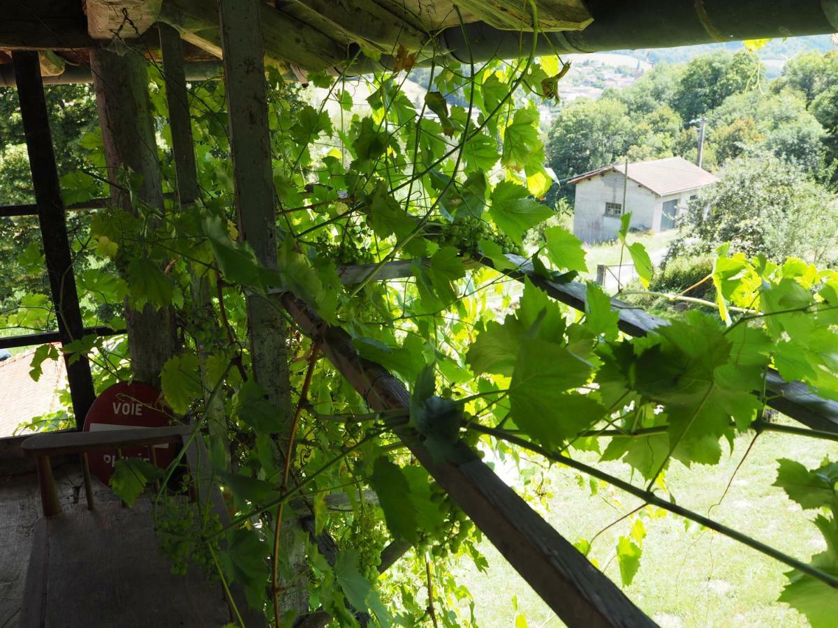 Le Chatel En Beaujolais Valsonne المظهر الخارجي الصورة